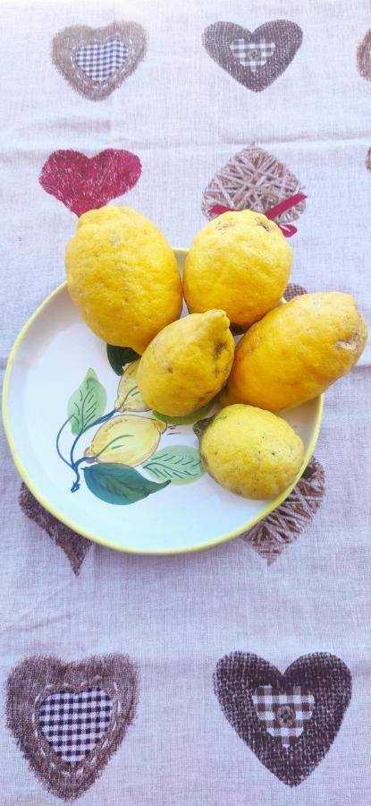 ויקו אקוונסה Margherita House Sorrento מראה חיצוני תמונה